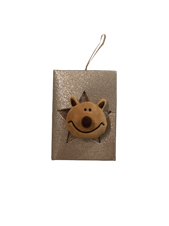 CALZINI ANTISCIVOLO NATALIZI